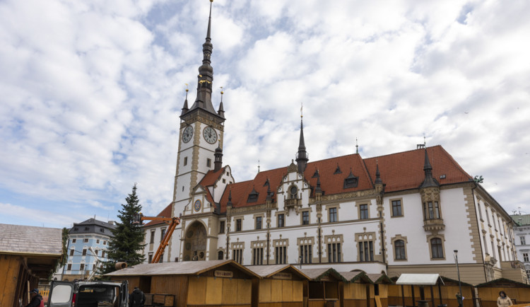 Menší, ale jedinečný. Na olomouckém náměstí bude o Vánocích zářit nazdobený sekvojovec