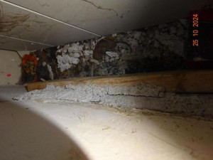 Hospodu Severka, dvojnici slavného podniku ze seriálu Most, museli zavřít. Našli tam mrtvé hlodavce