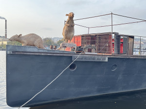 Spolek, který na náplavce provozuje plující galerii, dostal výpověď. Porušil smlouvu saunou a neohlášenými akcemi