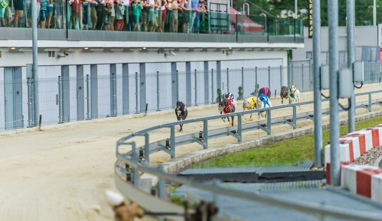 Praha chce za dvě stě milionů koupit chrtí závodiště v Motole. Plánuje z něj udělat atletický stadion