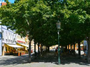 Alej na náměstí na Kampě.