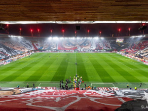 Měsíce příprav, dvacet tisíc pláštěnek, český rekord. Choreo slávistické Tribuny Sever se zapsalo do historie