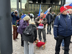 Protivládní prostest před Národním muzeem