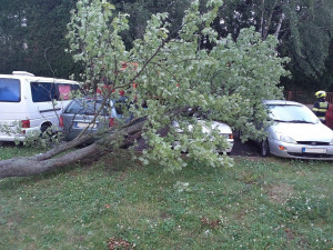 Meteorologové varují před silným větrem, Prahu má zasáhnout v úterý