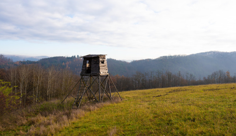 1724009550084-139-podzim-4