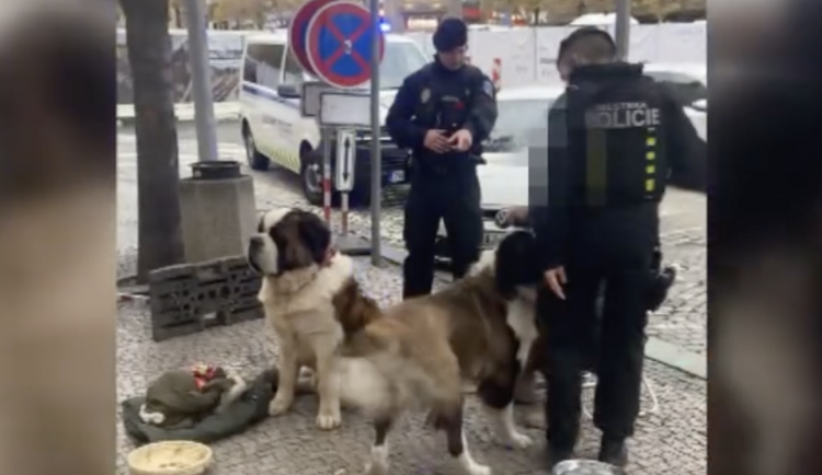 VIDEO: Strážníci si posvítili na Rumuny vystupující s bernardýny na Václaváku, rozdali jim pokuty