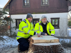 Vánoční strom pro Prahu už se veze. Na Staromáku bude stát od úterního rána