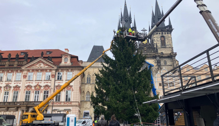 Technici v noci ukotvili vánoční strom na Staroměstském náměstí a začali se zdobením