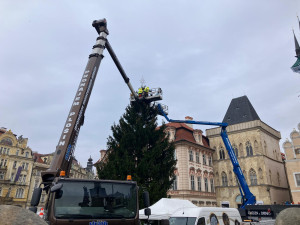 Technici v noci ukotvili vánoční strom na Staroměstském náměstí a začali se zdobením
