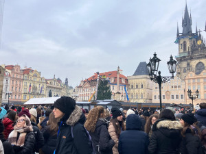 Technici v noci ukotvili vánoční strom na Staroměstském náměstí a začali se zdobením