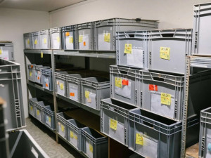 Záchranná stanice letos eviduje rekordní počet ježčích pacientů a žádá veřejnost o pomoc