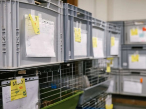 Záchranná stanice letos eviduje rekordní počet ježčích pacientů a žádá veřejnost o pomoc