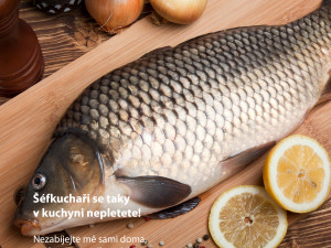 Praha zahájila kampaň za lepší zacházení s kapry, upozorňuje na jejich trápení při držení ve vaně nebo vypouštění do řek