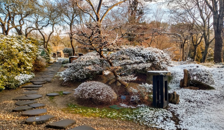 Lidé mohou i na Štědrý den zavítat do pražské botanické zahrady i zoo. Otevřené budou i některé památky