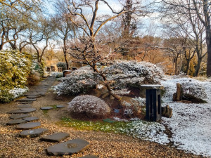 Lidé mohou i na Štědrý den zavítat do pražské botanické zahrady i zoo. Otevřené budou i některé památky