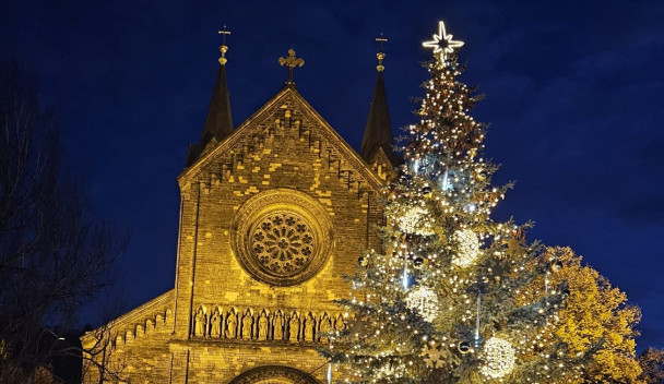Strom Prahy 8 v anketě zvítězil už po čtvrté.