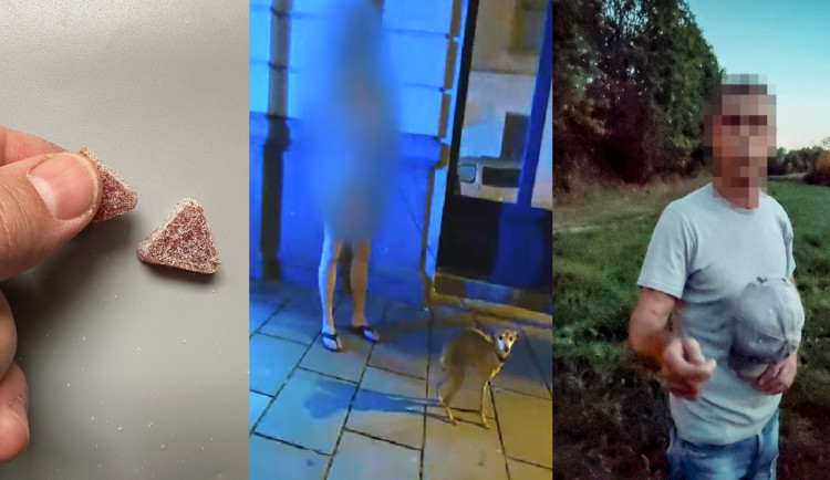 Bizár, kuriozity a zajímavosti roku 2024: Učitelky se předávkovaly HHC, pytlák lovil na plechovku a naháč venčící psa v centru Plzně