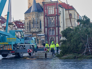 Vánoční strom už zmizel ze Staromáku, učni z něj vyrobí nábytek pro dětské centrum