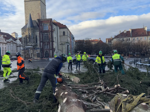 Vánoční strom už zmizel ze Staromáku, učni z něj vyrobí nábytek pro dětské centrum
