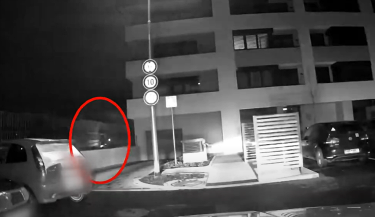 VIDEO: Městská policie opakovaně zadržela řidiče se zákazem řízení. Při pokusu o útěk ho zadržela