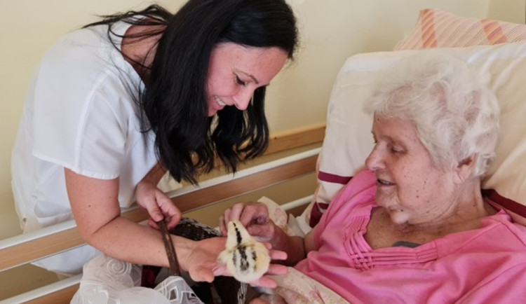 Věnovala se nemocným seniorům, teď sama potřebuje pomoc. Eva bojuje s agresivním nádorem na mozku.