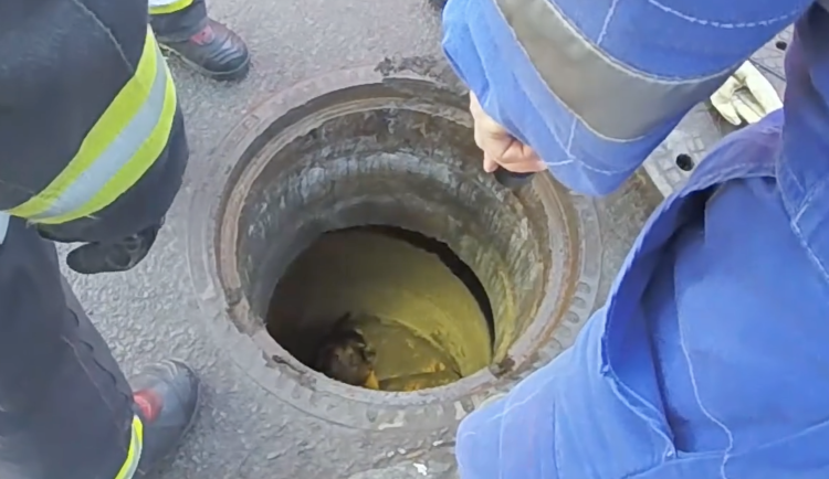 Pětiletého Dona objevili v kanálu.