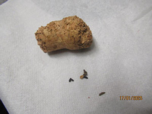 V oblíbené pražské restauraci se proháněly myši. Inspektoři ji na místě zavřeli