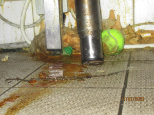 V oblíbené pražské restauraci se proháněly myši. Inspektoři ji na místě zavřeli