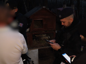 V rámci akce Korzet zkontrolovali policisté během páteční noci přes tisíc osob, několik set provozoven a vozidel