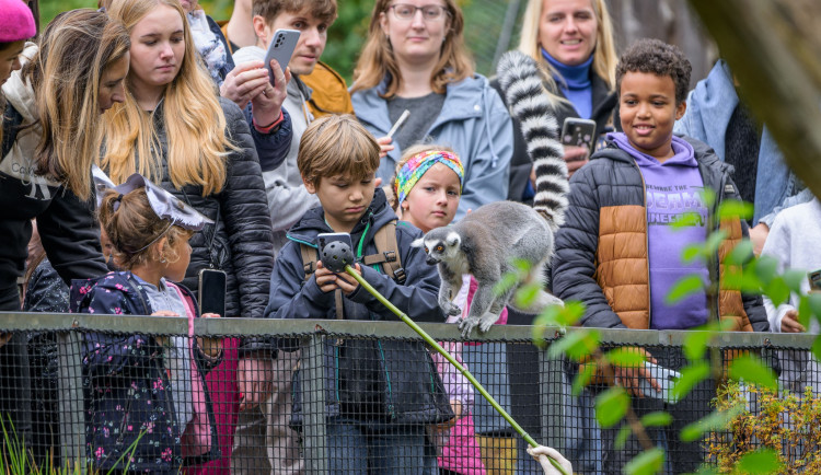 O pololetních prázdninách mohou děti za korunu do zoo i akvaparků