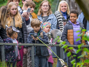 O pololetních prázdninách mohou děti za korunu do zoo i akvaparků