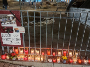 Oblíbený kocour Mikeš bude mít v Modřanech bronzovou sochu, lidé se na ni skládají ve sbírce. Poslali už přes sto tisíc