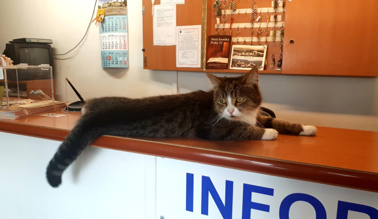 Mikeš navštěvoval i radnici Prahy 12