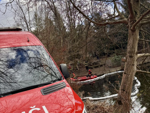 Do Kunratického potoka unikla neznámá látka a zasáhla pět hus. Museli je odchytit a dekontaminovat