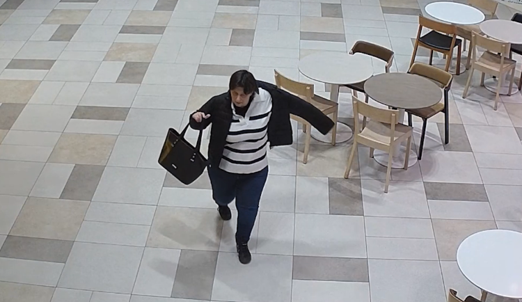 Policie žádá o pomoc při pátrání po svědkyni