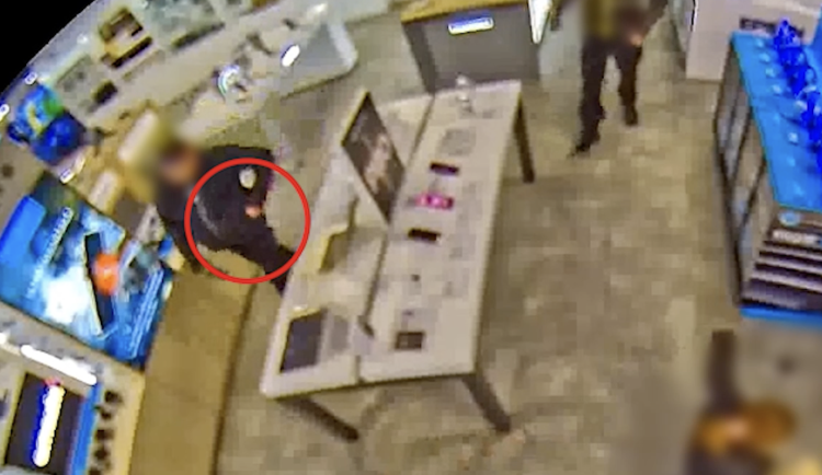 Hledá se chameleon. Policisté pátrají po zloději s přezdívkou exotického zvířete.