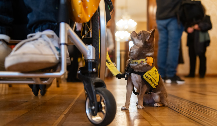 ? 2024, VOJTa Herout, www.vojtaherout.com |  www.nafotime.cz