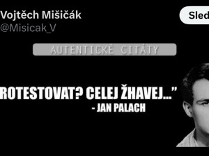 Komunista zesměšňuje popravu Horákové nebo smrt Palacha. Bolševický prase, píší lidé v komentářích