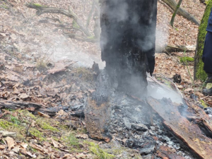 Policie dopadla mladíka, který se přiznal k zakládání požárů v Kunratickém lese.