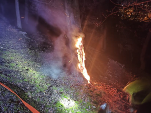 Policie dopadla mladíka, který se přiznal k zakládání požárů v Kunratickém lese.