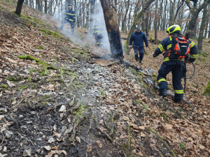 Policie dopadla mladíka, který se přiznal k zakládání požárů v Kunratickém lese.