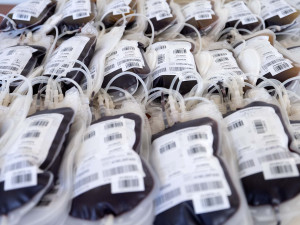 Sokolové při tradičním hromadném odběru darovali 28 litrů krve