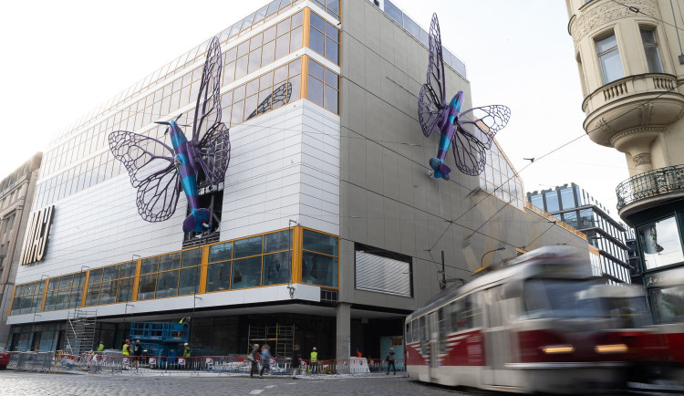 Motýli na Máji možná zůstanou déle.