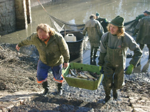 S nástupem jara vyloví rybáři osm pražských rybníků. Součástí výlovů bude i doprovodný program pro děti