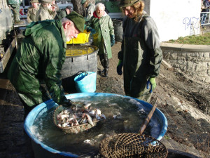 S nástupem jara vyloví rybáři osm pražských rybníků. Součástí výlovů bude i doprovodný program pro děti