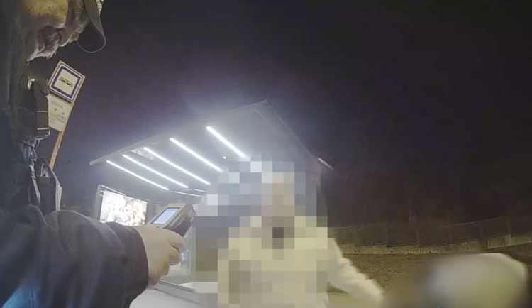 Ženě naměřili 1,8 promile.