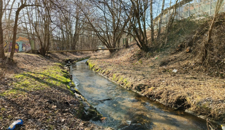 Policie hledá důležitého svědka, který 7. března poskytoval první pomoc chlapci v bezvědomí v Jablonci v Želivského ulici