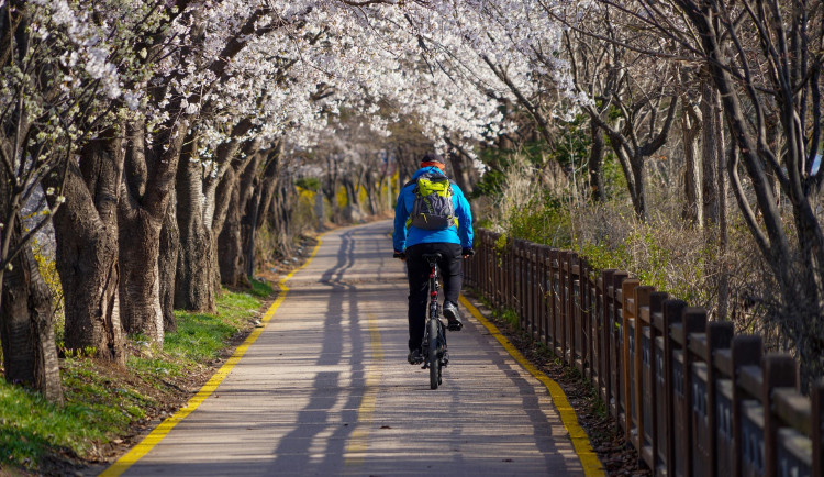 Kraj zpříjemní výlety cyklistům. Na nová odpočívadla či nabíječky rozdělí dva miliony