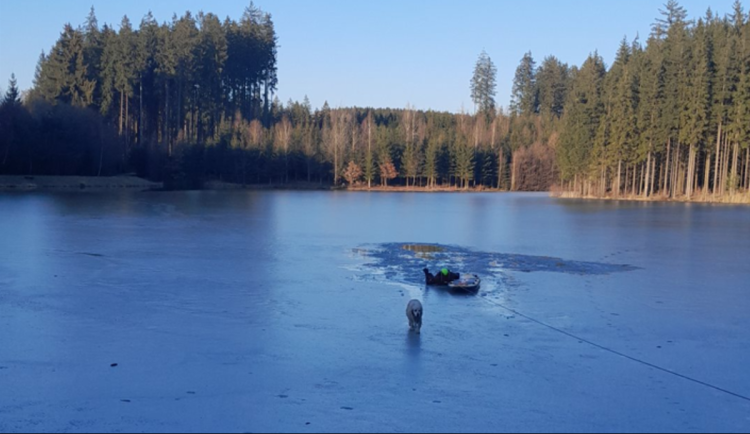 Jedenáctiletá fenka uvízla v Horní Branné v díře v ledu na rozmrzajícím rybníce. Na břeh ji hasiči dostali pomocí paddleboardu