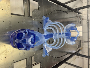 V Železném Brodě vyrobili skláři největšího skleněného kostlivce světa. Zdobit bude bývalý obchodní dům Máj